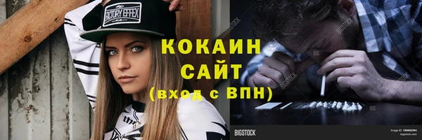 прущие грибы Абаза