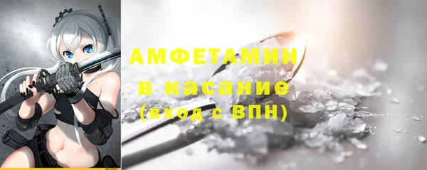 прущие грибы Абаза