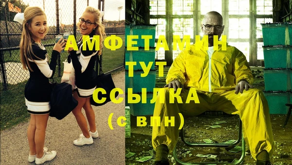 прущие грибы Абаза