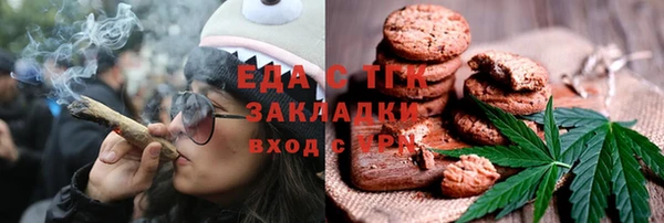 прущие грибы Абаза